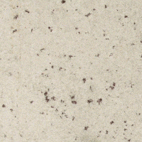 Granite - Colonial White | Product Code:  PMR-Colonial White - Level 2