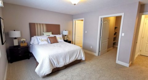 Interior Trims