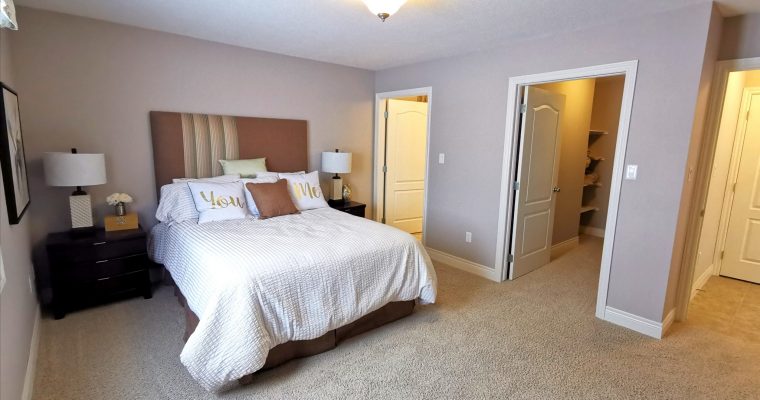 Interior Trims
