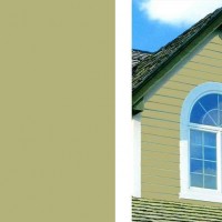 Cedar Clad Olive Branch | Product Code: PMR-OliveBranch