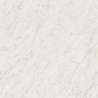 White Carrara | Product Code: STD-4924-38 | Chip 39