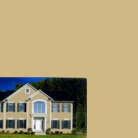 Driftwood Siding Amber | Product Code: STD-616
