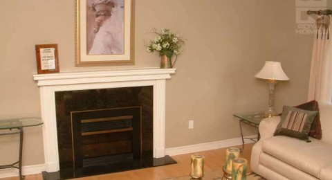 Wood Stove