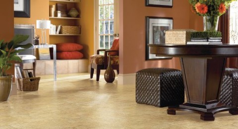 Vinyl Flooring