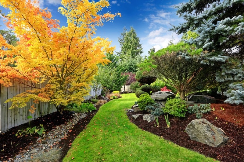 6 Things to Consider When Planning Your New Home’s Landscaping
