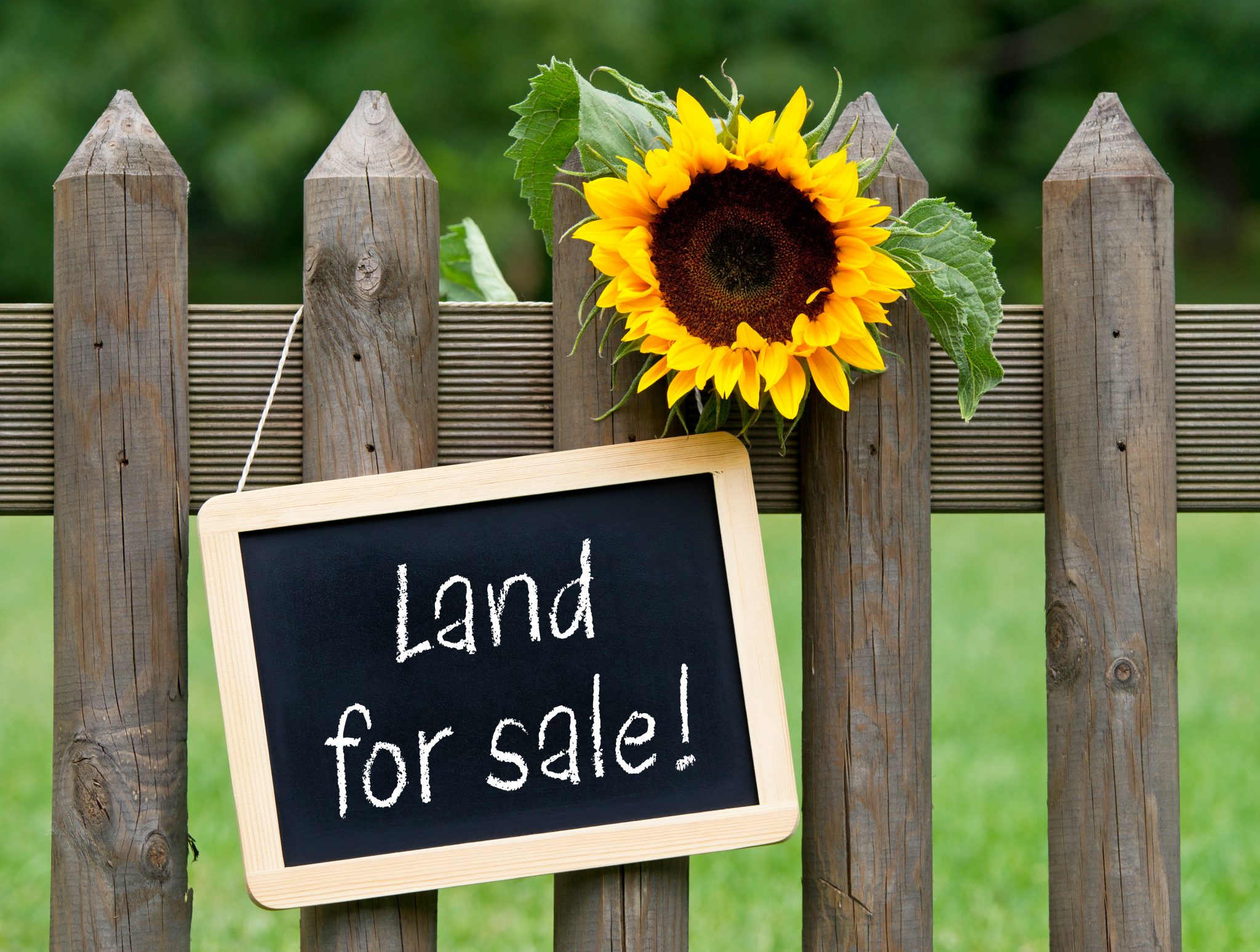 What to Consider When Buying A Vacant Lot